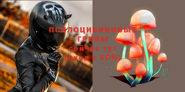 spice Алексин