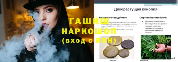 дживик Киренск