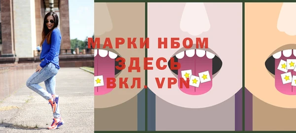 хмурый Алзамай