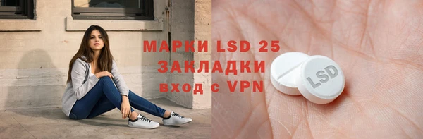 хмурый Алзамай