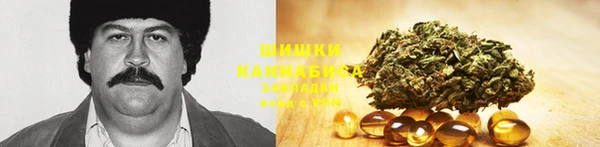 spice Алексин
