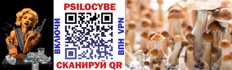 Псилоцибиновые грибы Psilocybe  Луза 